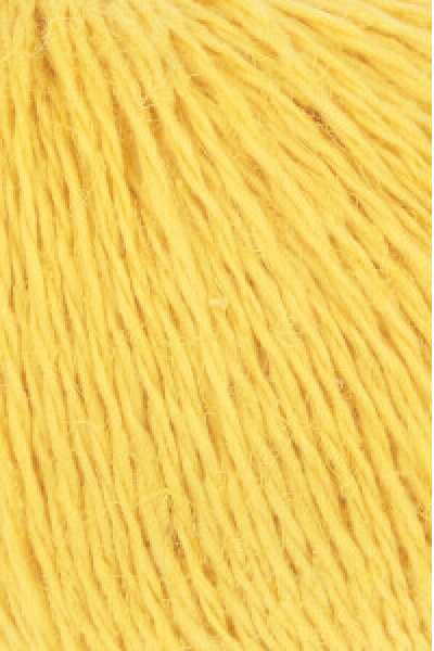 Ananas - Farbe 0014 Ananas - Farbe 0014