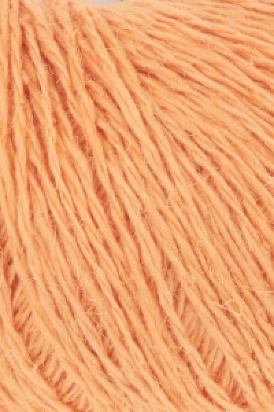 Ananas - Farbe 0027 Ananas - Farbe 0027