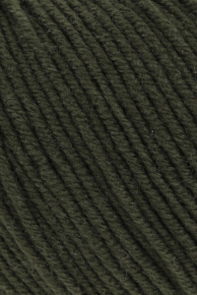 Merino 120 Farbe 0498 Merino 120 Farbe 0498