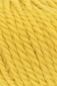 Preview: - Kopie - Kopie - Kopie - Kopie - Kopie