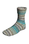 Preview: Super Soxx Bamboo color 4-fach  Farbe 0512 -  BirdSoxx Starling