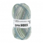 Preview: Super Soxx Silk Color 4-fach  Farbe 0408 Rigi