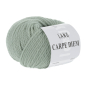 Preview: Carpe Diem Farbe 0092