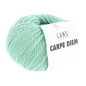 Preview: Carpe Diem Farbe 0173