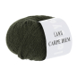 Preview: Carpe Diem Farbe 0198