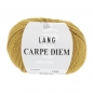 Preview: Carpe Diem Farbe 0211