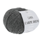 Preview: Carpe Diem Farbe 0305