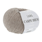 Preview: Carpe Diem Farbe 0339