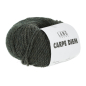 Preview: Carpe Diem Farbe 0398