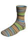 Preview: Super Soxx Color 4-fach  Farbe 0535 - Fjord Soxx Ranfjorden