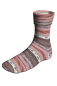 Preview: Super Soxx Color 4-fach  Farbe 0545 - Cake Soxx BlackForestCake