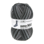 Preview: Super Soxx Color 4-fach  Farbe 0552 - PainterlySoxx Graphite