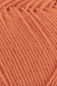 Preview: - Kopie