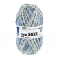 Preview: Twin Soxx 4-fach  Farbe 0461 Watercolor Matisse