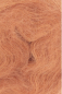 Preview: Lace  Farbe 0259