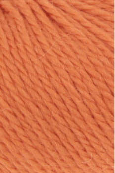 Carpe Diem Farbe 0259