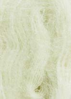 Lace  Farbe 0094