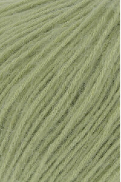 Regina  Farbe 0097