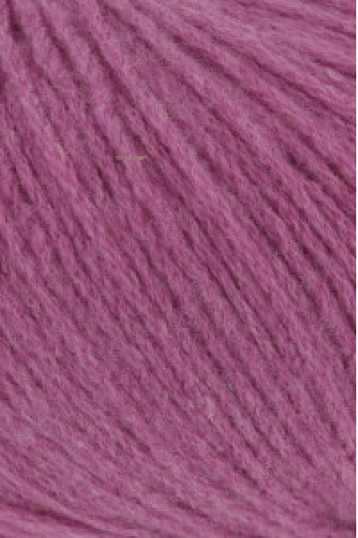 - Kopie - Kopie - Kopie