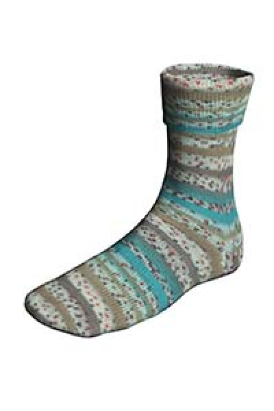 Super Soxx Bamboo color 4-fach  Farbe 0512 -  BirdSoxx Starling
