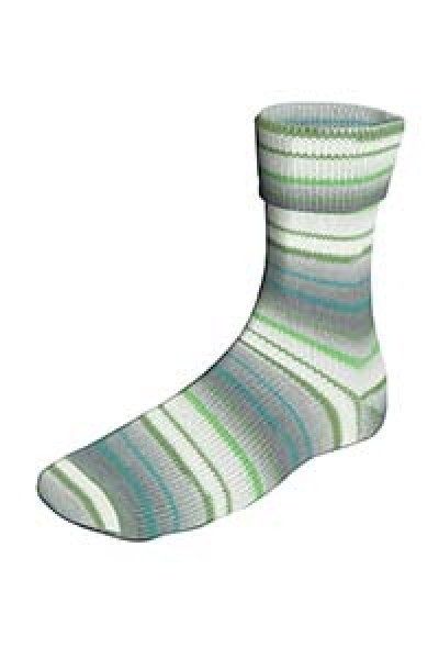 Super Soxx Silk Color 4-fach  Farbe 0408 Rigi