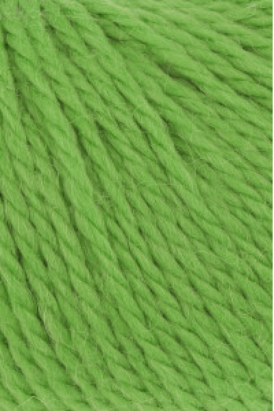 Carpe Diem Farbe 0116