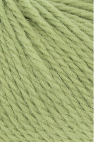 Carpe Diem Farbe 0216