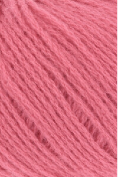 Cashmere Premium  Farbe 0028