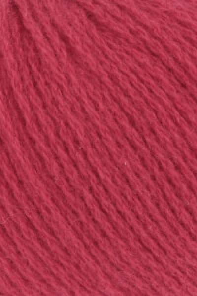 Cashmere Premium  Farbe 0060