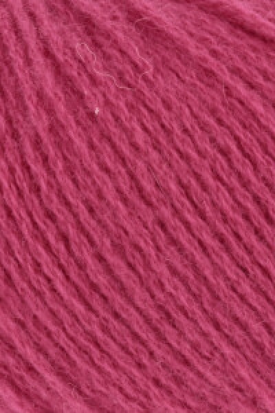 Cashmere Premium  Farbe 0165