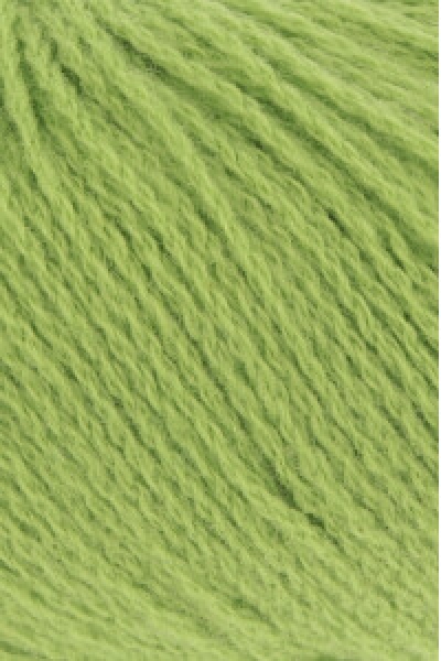 Cashmere Premium  Farbe 0216
