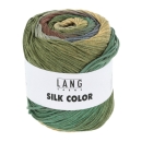 Silk Color - Farbe 0004