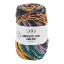 Merino 120 Color - Farbe 0004
