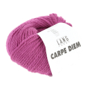 Carpe Diem Farbe 0165