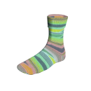 Super Soxx Color 4-fach  Farbe 0417 South Atlantic